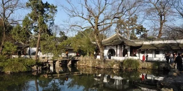  「宋代」中国古人创造的新物种，金鱼的简史