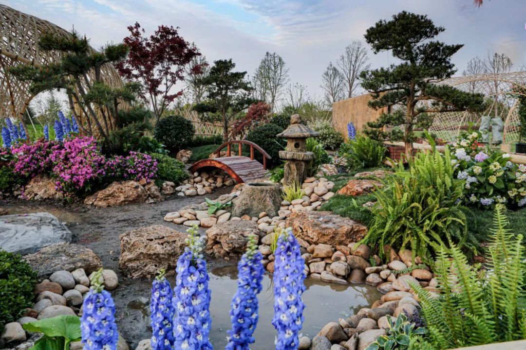  会场■2020上海（国际）花展奉贤上海之鱼会场倒计时~Bulu邀您来赏花