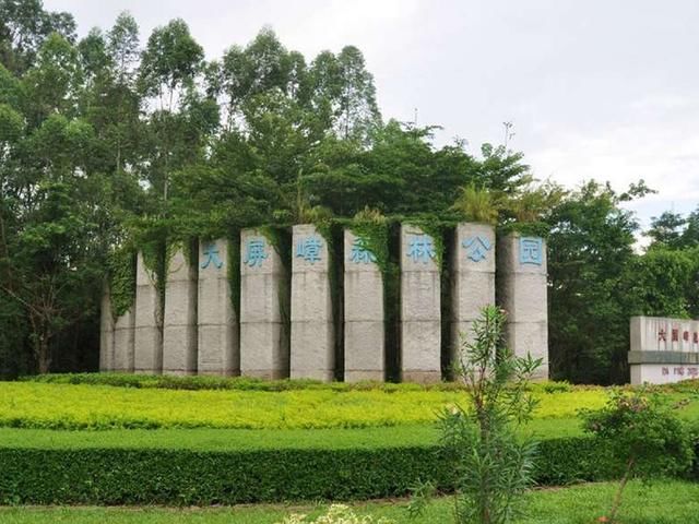 东莞都市中的森林公园：远离喧嚣，回归自然