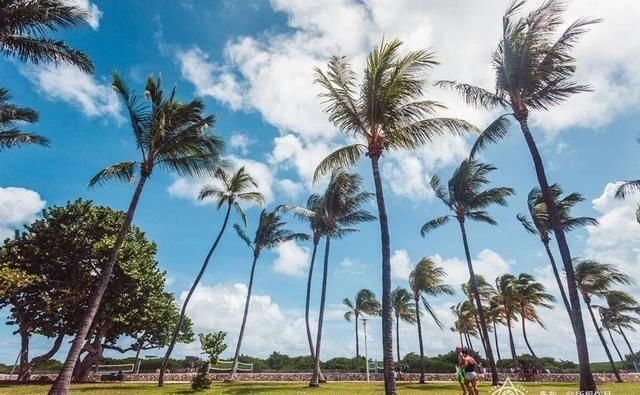 沙滩热风比基尼,这座城市无比热辣,难怪全球明星都爱来这儿度假