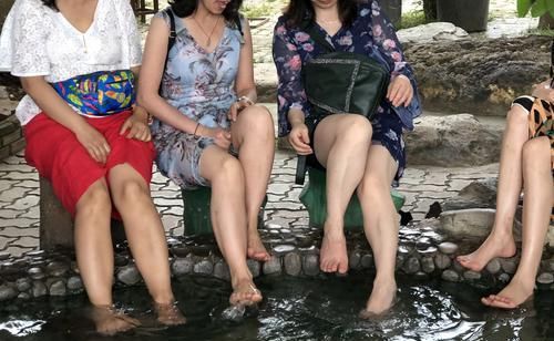 泰国路边“温泉驿站”，可供免费泡脚，深受中国游客欢迎