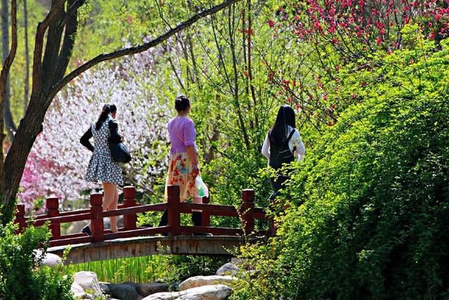 三月春暖花开,又到了寻花问柳的季节!
