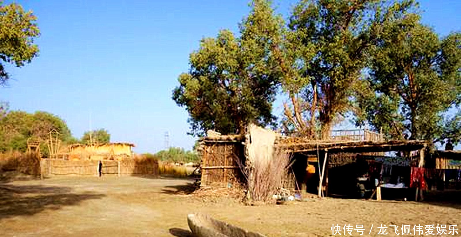 中国最神秘的民族，世代居住在沙漠中，靠捕鱼生存至今！