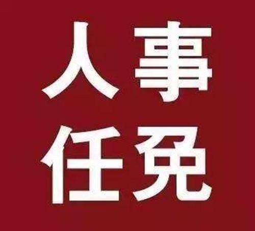 河北1市任免35人！局长副局长、主任副主任……