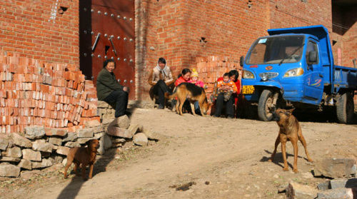 「回村」未来俩月，农村迎来3大“鄙视链”，几乎村村都有，你遇