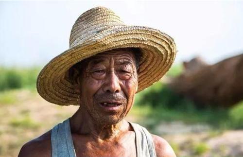  好处：2019年“土地改革”，农民将有这三大“福利”，对于农民