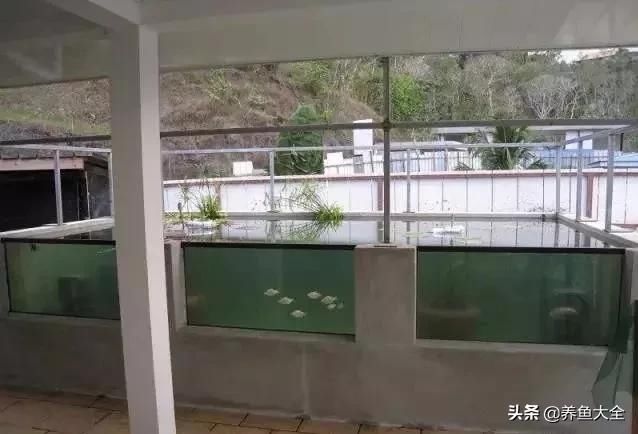  「漂亮」这么漂亮的龙池，竟然用3个垃圾桶做过滤？