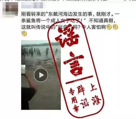 海滩又现鲨鱼吃人?警方回应:为谣言