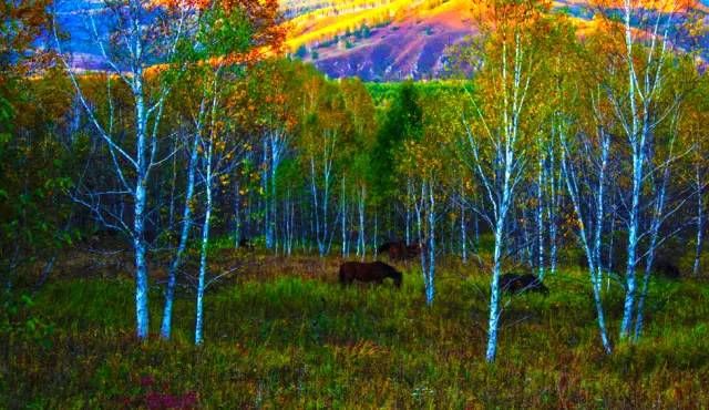 中国最美的30个地方（完整版）终于找齐了！第一居然是…