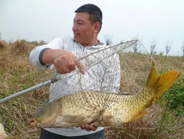 老渔民说漏:春钓鲫鱼别钓浅水!原来这两钓点才是“鱼窝子”