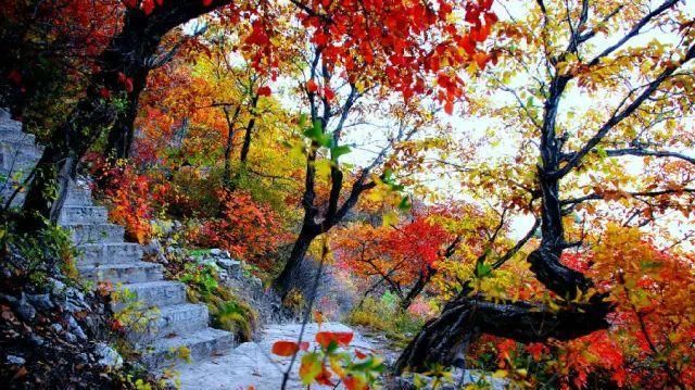 秋日里，山西20处绝美赏秋胜地美的像仙境