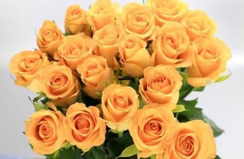  「漂亮」阳台就这样装吧，非常漂亮，让你百看不腻！