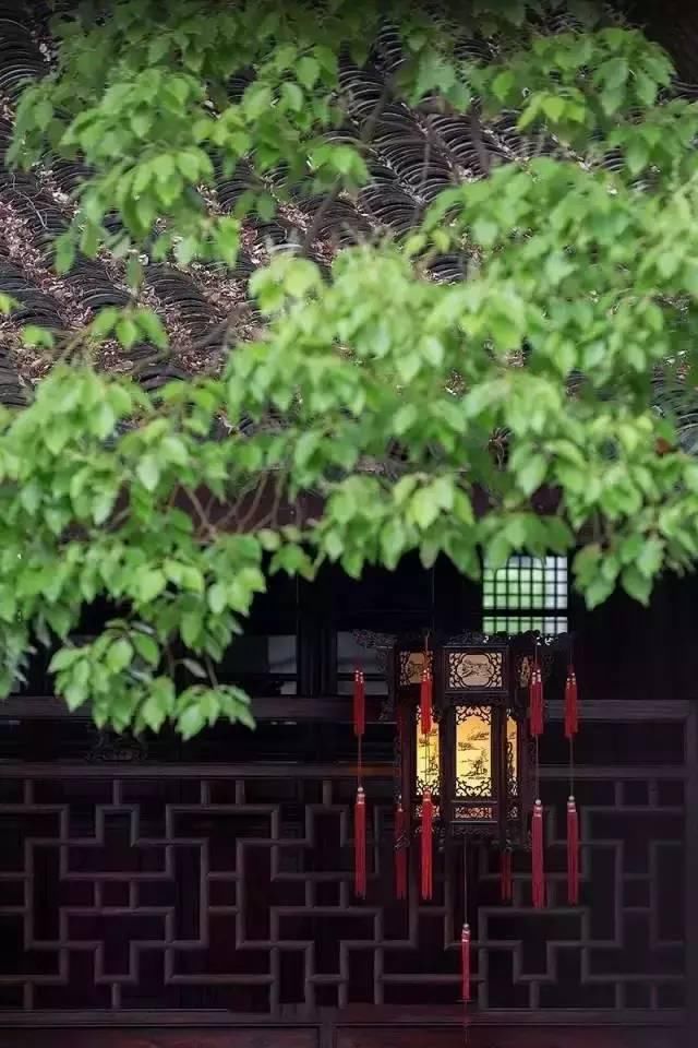 『之美』中式园林,中国人的造梦艺术