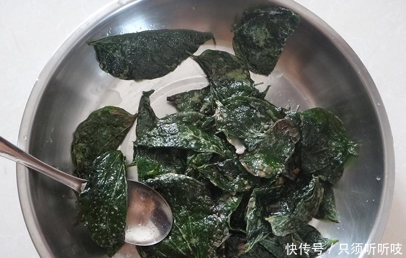 农村竹林里一种神奇野草，嚼2片叶子能治牙疼，炒田螺更是一绝