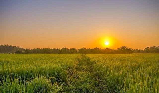  #大实话#现在的农民是富了还是穷了老农说了5点，都是大实话，你