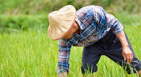  「日子」杜绝农村陋习，这3大怪象整改完成后，农民的日子会越来