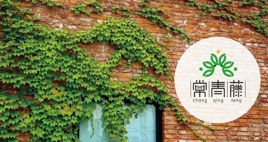  「家里」这些高档植物，放在家里，提高家的味道！