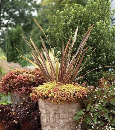 庭院不需太奢华，或一盆花，或一个老物件就能让庭院惬意起来