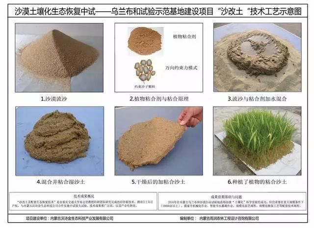 亮点| 塞上江南好风光--“壮美黄河行”走进阿拉善 巴彦淖尔