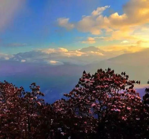 仍未公开的绝对秘境！中国版的“黄石公园”，亚洲最大的冰瀑－－