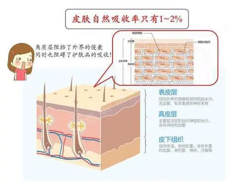 「皮下组织」热门医美项目“水光针”,真的有效果吗?