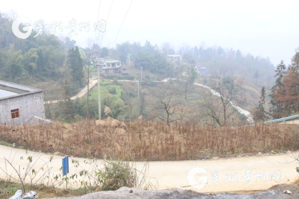 沿河洪渡镇皂角村:一个深度贫困村的变迁