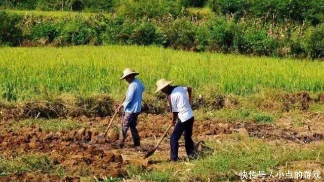 2019年，农村年满60周岁的老人可获这3样补贴，不要错过了