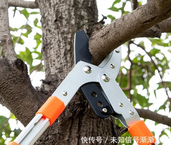 中国 “电动锄头”一出，耕地不再愁，一天能锄几百亩 ，忒省力