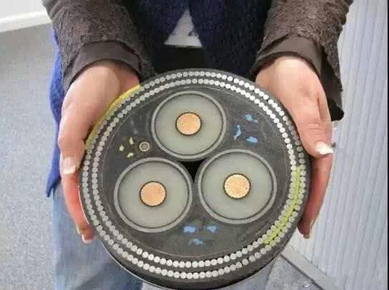 能让人大呼不可思议的8张照片,切开后才知道海底电缆长这样!