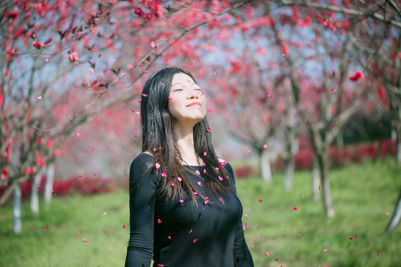 武汉周边游3??丨黄陂赏花和登山徒步，推荐这四个景区必须打卡