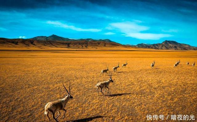 摩托车长途旅行，如何安全穿过无人区？