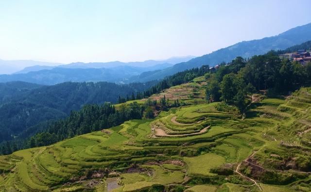 走进广西边远山区苗寨，体验淳朴的苗家生活