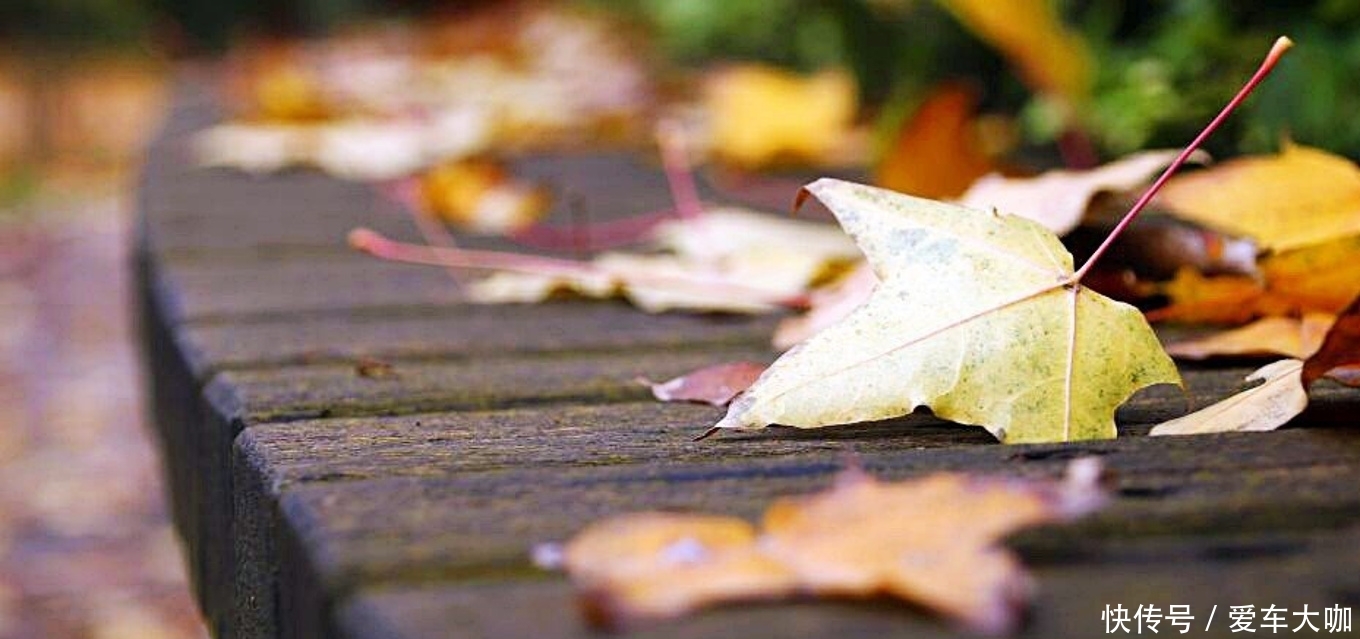 秦岭山中的秘境，有中国最美乡村之称，不收门票还没有几个游客