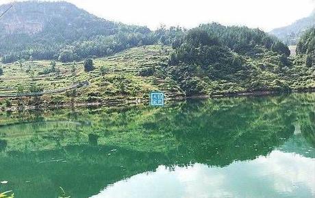 高山饮用水发源地，在原始森林水库野钓，钓获一条10斤野生白鲢鱼