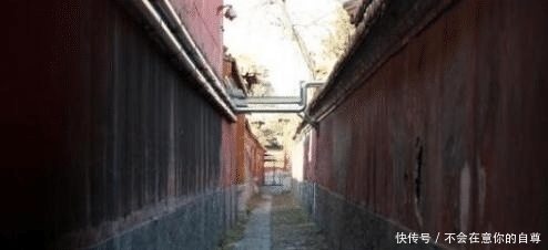 世界第一“巨蟒”，委身于故宫城内，如今已有612岁的高龄！