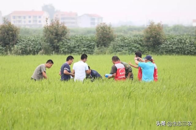 和专家们，算一笔账，种一亩地，到底能赚多少钱?补贴金多吗