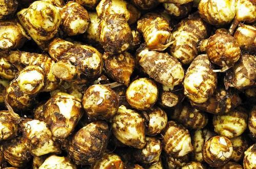  『中毒』这蔬菜一定要煮熟，否则吃了会中毒，剥皮要小心，不然会奇痒难耐！