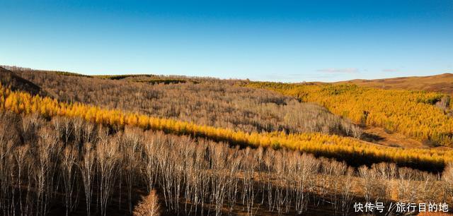 我国没“出息”的沙漠，曾是黄沙遮天日的荒凉，今成国家森林公园