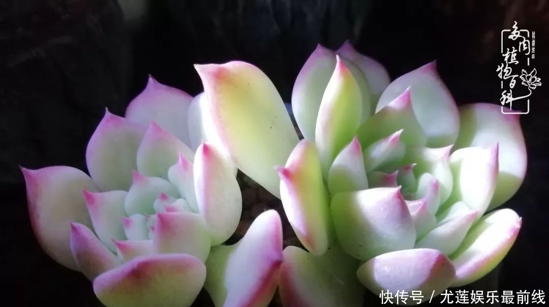 『那种』我爱的,就是你的存在!只要努力该来的都在路上!