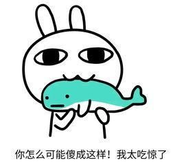  瑞士@瑞士产的“解放鞋”要比国产的贵10倍？看起来都一样，差哪儿了？