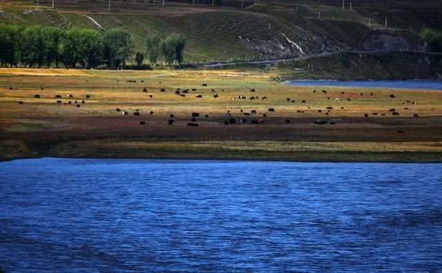 你知道进藏的八条路线吗，哪一条是你觉得最危险的？