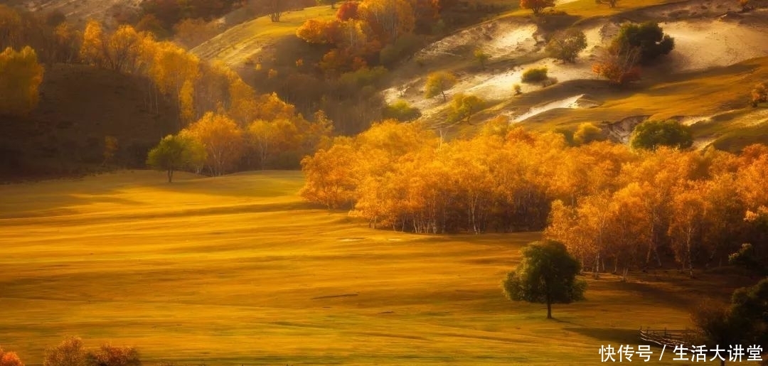 初秋找几个地方去看最美的秋景吧