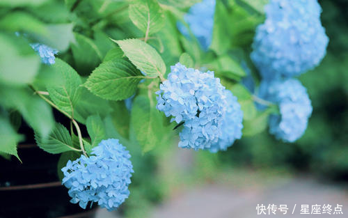 善解人意@心思细腻,善解人意,很会替别人着想,越过越幸福的四大生肖女