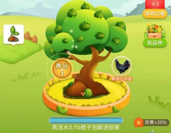 [ 打人]6.5万凭空消失?当事人回应 网友直呼想打人，拼多多种水果