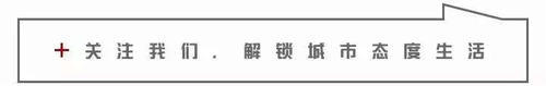 每个去香港玩的人，都迷路了