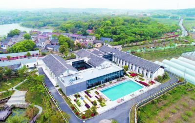  「银杏树」南京溧水石湫：千年银杏树下的“小康密码”