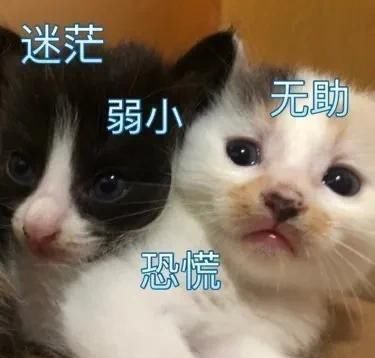  『凹陷的太阳穴』普通女生如何显高级？“有钱发型”一定要试试