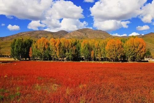 10月成都至稻城亚丁旅游攻略：自驾路书全集，附住宿地、行程安排