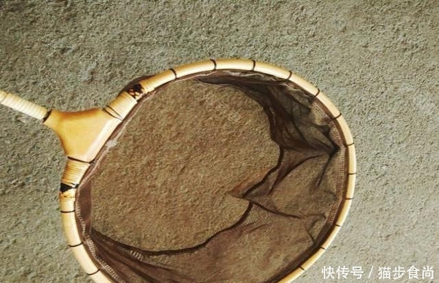 「五体投地」农村小伙用废旧物品,改钓具钓鱼,渔具店老板佩服得五体投地