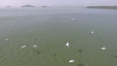 “今日小雪” ，你期盼的那场雪何时到来？